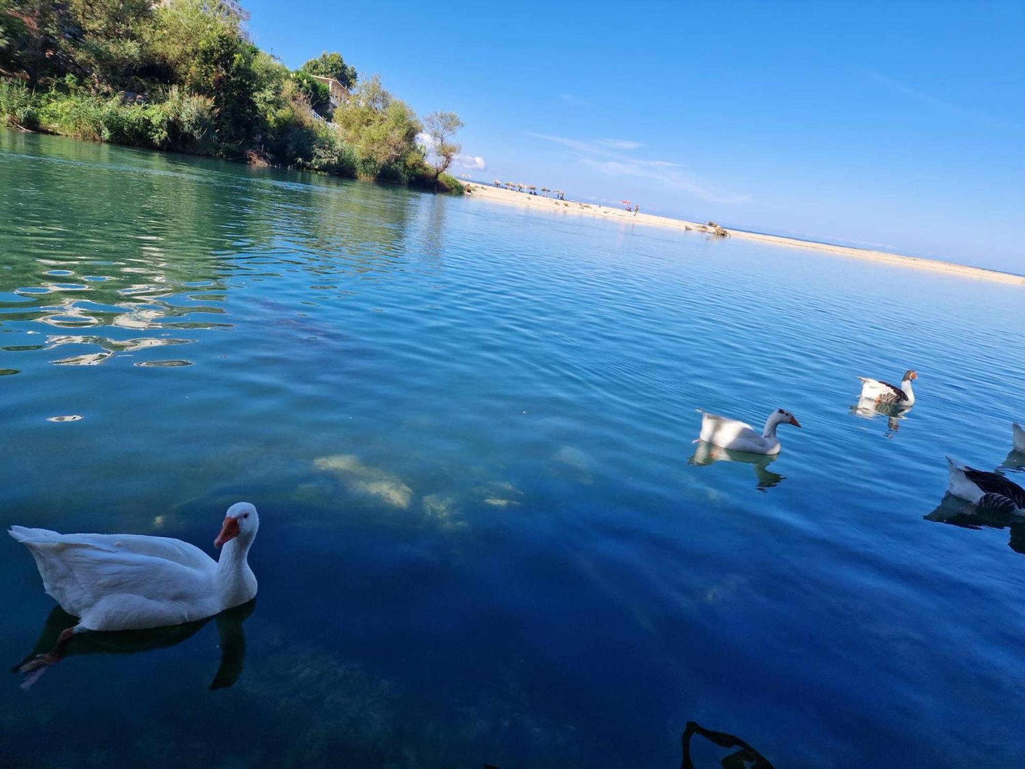Apartmán Sadet'S Penthouse Saranda Exteriér fotografie